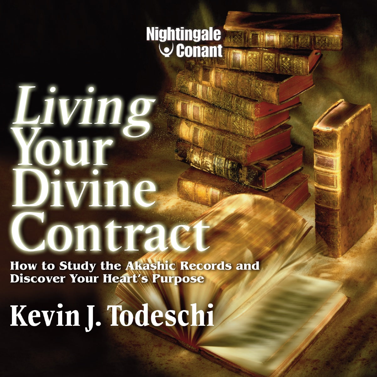 Living Your Divine Contract Digital Downlaod